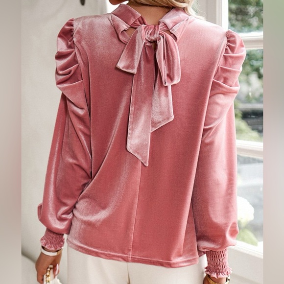 Tie Up Mock Neck Velvet Fabric Long Sleeve Blouse - Picture 12 of 12